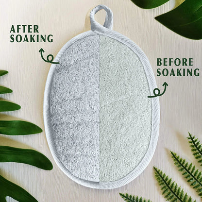 🧽Golden Bloom🧽 - Natural Loofah Exfoliating Face Scrubber🌿